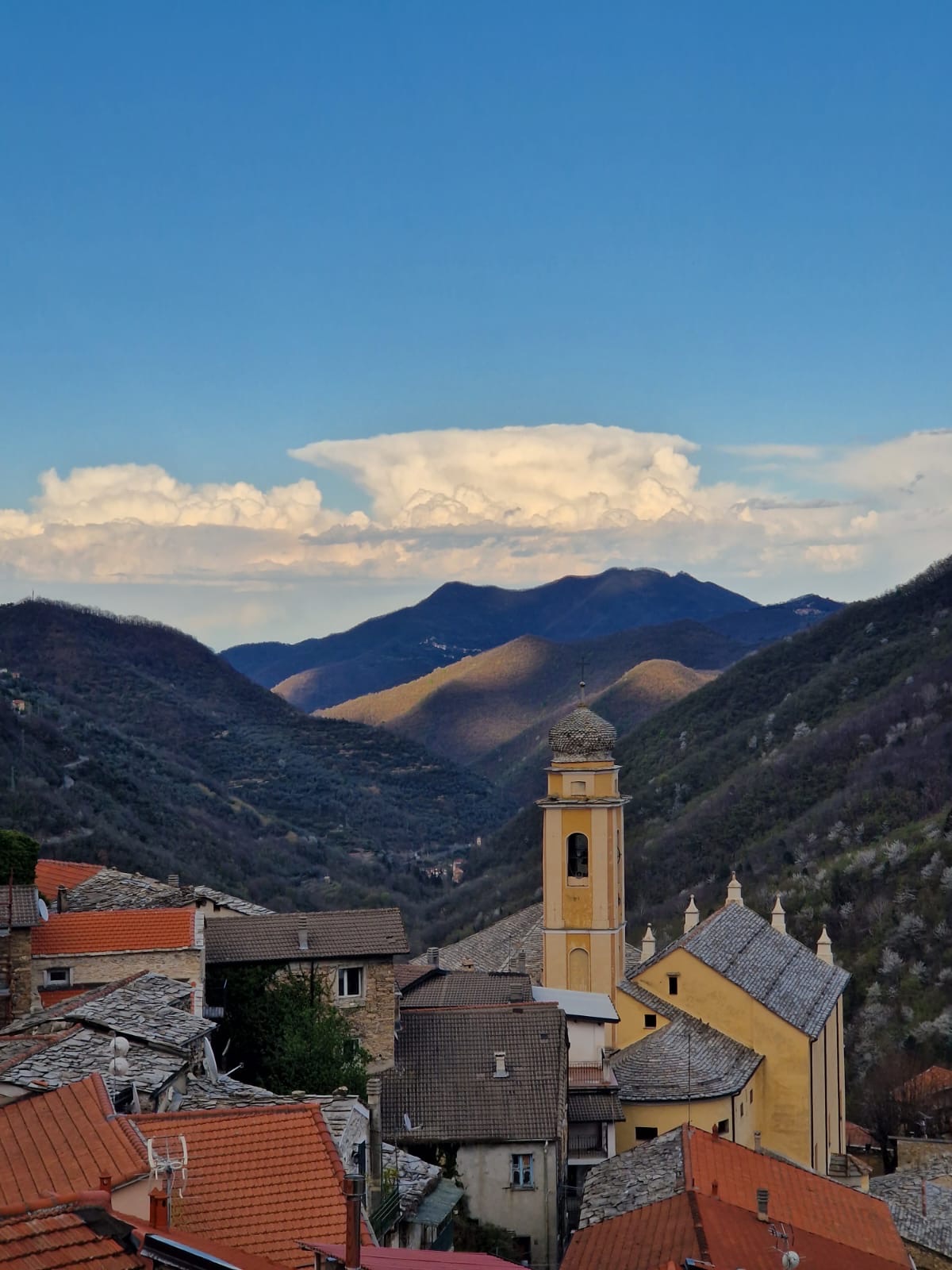 Vinmark i Rezzo, Ligurien